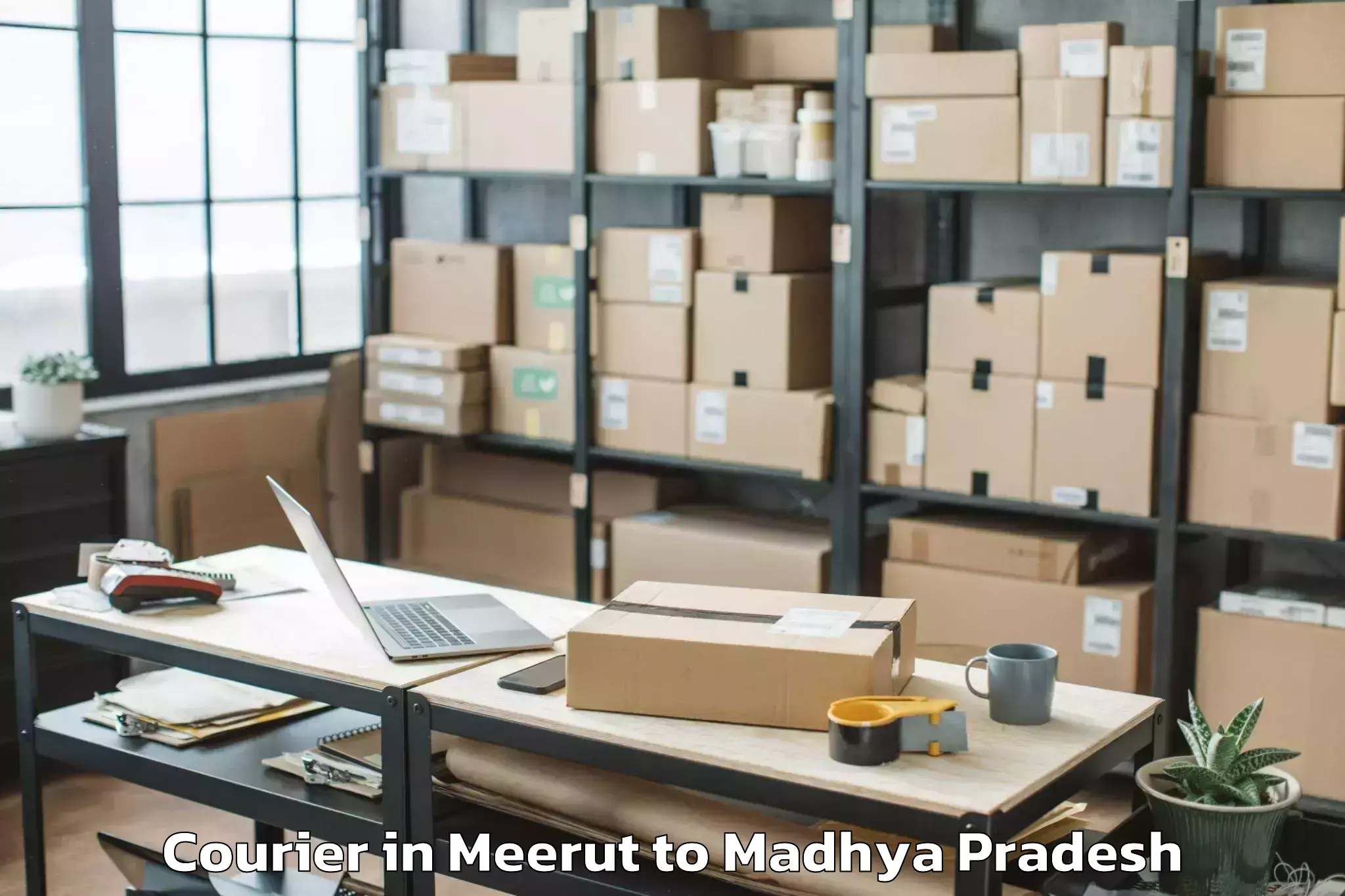 Leading Meerut to Mandsaur Courier Provider